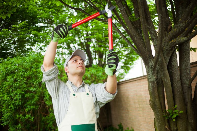Limb Pruning Service