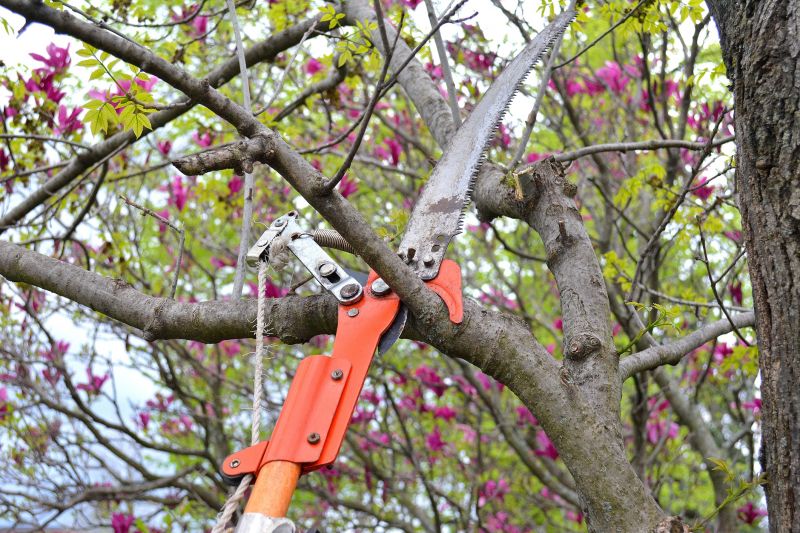 Local Limb Pruning pros at work