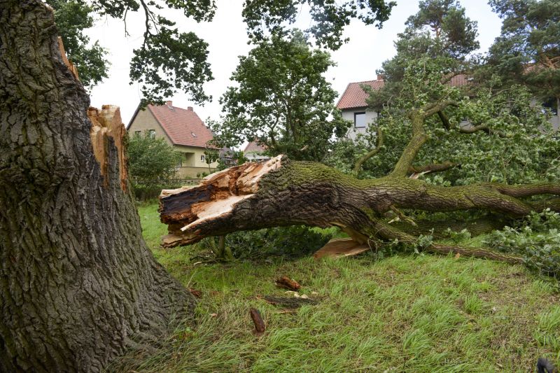 Storm Damage Scene